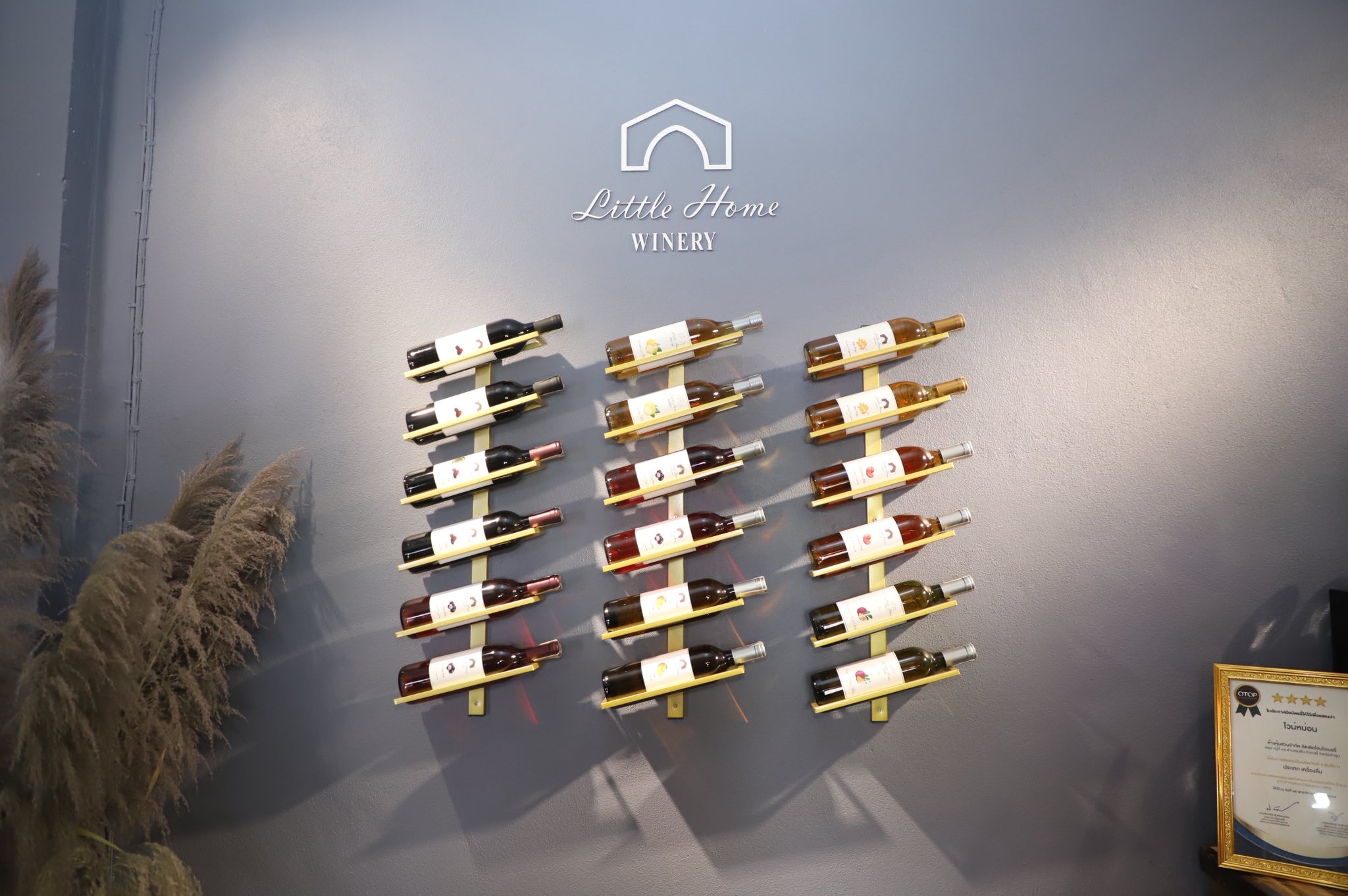 title - จากสวนสู่ขวด 